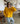 VAULT: OVERSIZED WOOL CARDIGAN IN AMBER YELLOW